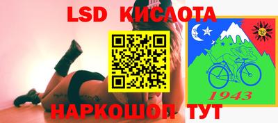 прущие грибы Среднеуральск