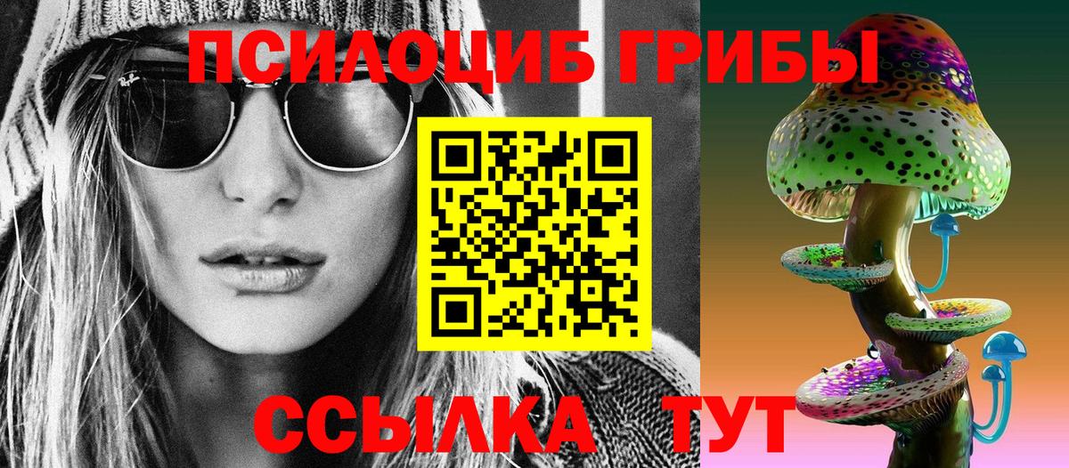 Псилоцибиновые грибы Psilocybine cubensis Михайловка