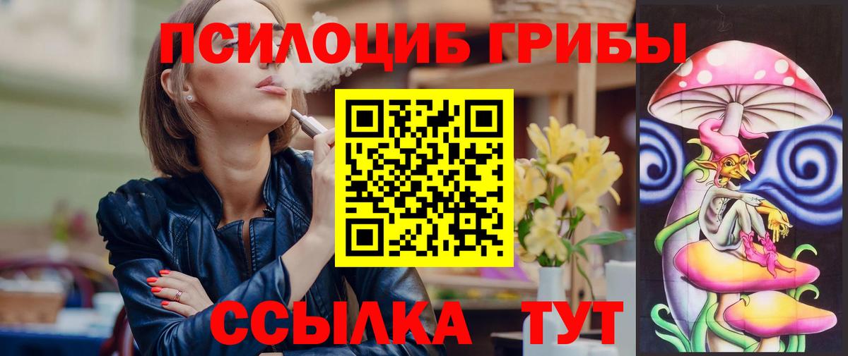 Михайловка  Галлюциногенные грибы мицелий  Вход с VPN 